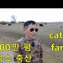 방목농장 이미지