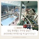 월드안경마트 | 잠실 롯데월드 주차장 꿀팁 로티트레인 위치 아이가 좋아한 놀이기구는