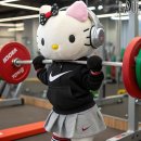 피트니스 벨 이미지