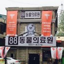 서울88동물의료원 이미지