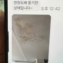 플랜비커피 로스터즈 | 세종 늦은시간까지 하는 플랜비커피 로스터즈 단체모임으로 굿