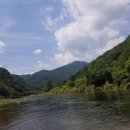 웰컴투오미골 이미지