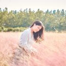 허밍버드스튜디오