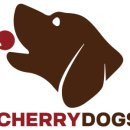 체리애견 이미지