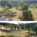 소나무황토집 이미지