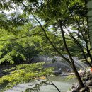 남창감나무집 이미지