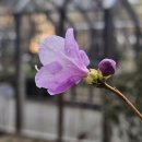 정법사 - 성북구 | 정법사