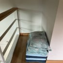 천사의 아침 이미지