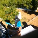 개미농장 2농장 이미지