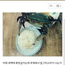 모두의마블 공식카페 어그로의 장인정신 이미지