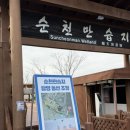 순천만습지 | 조류독감 상황에도 다녀온 순천만습지 리얼 후기｜순천만국가정원 무료입장 꿀팁까지 (내돈내산)