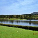 라헨느 | 제주 골프 부킹 방법 가심비 좋은 제주 라헨느cc 예약 후기