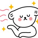 참들미 이미지