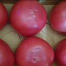 영민농장 이미지