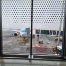 김포농협 체력단련장 | 제주 아이랑 여행 | 4살 아이와 1일차(롯데렌터카, 자매국수,서귀포올레시장, 롯데호텔), 내돈내산 후기