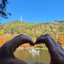 용소웰빙공원(입구) | 부산가을나들이 기장 용소웰빙공원 11.22 단풍후기