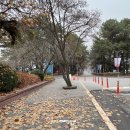 경민IT고등학교 | 경민it고등학교 제빵필기시험 후기