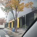 지에스25오크우드점 | 25년 11월 코엑스 베이비페어 토요일 주차꿀팁 모두의주차장 오크우드호텔에서 전시홀 가는법 얼리버드...