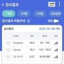 pet19다6052 | 건강검진 결과 CA19-9 상승, 추적 관찰, 대처법, 병원 추적 관찰 후기