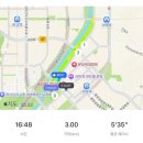 (주)서현투어 | 6월 말 7월 초 일상 : 원인 불명 불면에 시달리는중.. / 이번엔 토마토중독 / 다이어트 실패!