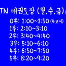 STN태권도장 이미지