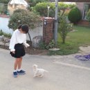 호리e펜션 이미지