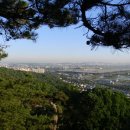 신선상사