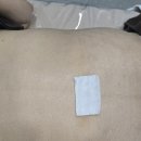 라미에스테틱