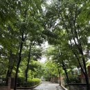 필라테스N화정 | 화정역 필라테스 솔직 후기 "화정필라테스N"