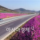 세로운 이미지