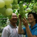 진순농장 이미지