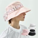 페르시안 캣 이미지