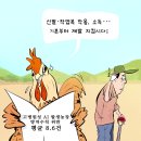 &#39;Netizen 시사만평(時事漫評)떡메&#39; &#39; 2025. 02. 26 &#39;(수) 이미지