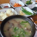 강변공원 | 영천 노지캠핑장 임고강변공원 맛집 영천 소머리곰탕 내돈내산 후기