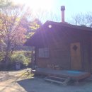 거목 통나무집 이미지