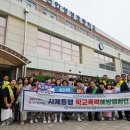 성성초 이미지