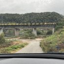 상보안세월교 네이버블로그