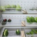 강경불고기 인하대역점 이미지