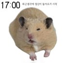 간호사 면허로 N잡 하기 | 정신건강의학과 병원 지원, 서합 후 면접 후기
