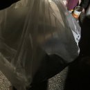 피자엠소마 이미지