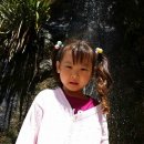 뉴질랜드 코로만델 여행 - 케시드럴 코브 (Cathedral Cove) 와 핫워터비치 (Hot Water Beach)를 다녀와서... 이미지