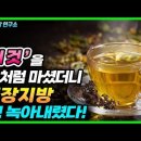 뱃살, 내장지방 빼는 법! 이 차를 마시면 가득 쌓인 내장지방 싹 녹아내린다! (내장지방 빼는 차) 이미지