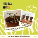 반디 커뮤니케이션 이미지