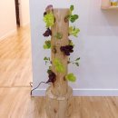 참좋은 지역아동센터 이미지