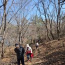 전남광양 배알도 망덕산 228차시산제 이미지