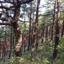 올림픽아리바우길 이미지