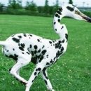 박가네집 이미지