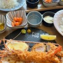 야돼지다 | 돈카츠집이? 오카츠야 안생치새 후기 ㅣ 해남 돈까스맛집 오카츠야, 제주흑돼지 수제돈카츠 가족외식 후기