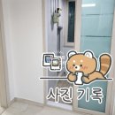 태양전파사 이미지