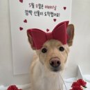 평택 백두수산 장어 가성비로 먹고 온 내돈내산 후기(어버이날,부모님 식사)